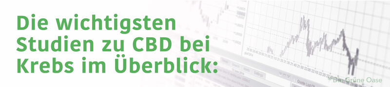 CBD bei Krebs aktuelle Studienlage